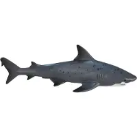 MOJO Bullenhai