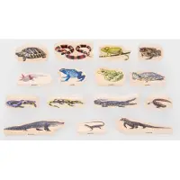 TickiT Wooden Reptile & Amphibian Blocks, 0 Jahr(e), 15 Stück(e), Holz
