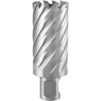 RUKO Kernbohrer Durchmesser 32mm HSS Länge 50mm Weldon - 108532