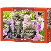 Castorland Puzzle mit 1000 Teilen: Kätzchen im Garten 104086