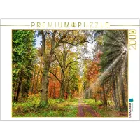 CALVENDO Puzzle Märchenhafter Wald mit knorrigen Eichen im Herbstlicht lädt zum Wandern ein, Hessen Deutschland | 2000 Teile Lege-Größe 90 × 67 cm Foto-Puzzle für glückliche Stunden