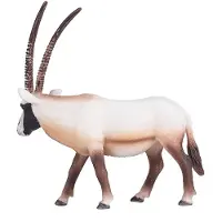 Animal planet Oryx-Antilope