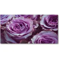 Drukarnia Piga Tulup Küchenrückwand Spritzschutz aus Glas -100x50 -Spritzschutz auf gehärtetes GlasDeko Blumen Pflanzen Violette Rosen