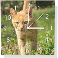 Wallario Design Wanduhr Neugierige Katze im Gras aus Aluverbund, Größe 30 x 30 cm
