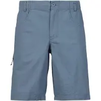 Stoic - Hemp53 ValenSt. Shorts - Shorts Gr L grau