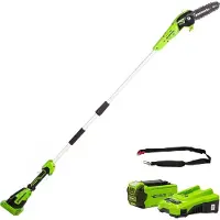 Greenworks G40PSFK2 - Akku-Hochentaster mit Rucksackakku und Verlängerungsstange 40V 2Ah Akku