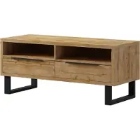 Furniture24 Tv Schrank Halle 41 Wohnzimmerschrank, Lowboard, Unterschrank, Fernsehschrank mit 2 Klapptüren in Wotan Eiche Nachbildung