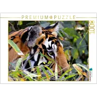 CALVENDO Ein Motiv aus Dem Kalender Wilde Tiere Indiens 1000 Teile Puzzle Quer, 1000 Stück(e), andere, 14 Jahr(e)