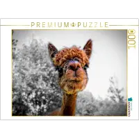 CALVENDO Puzzle Alpaka Gesichter 1000 Teile Lege-Größe 64 x 48 cm Foto-Puzzle Bild von Peter Roder, 1000 Stück(e), andere, 14 Jahr(e)