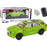 Lean Toys Aluminium-RC-Modellauto 1:24 C, Farbe Grün