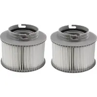 INF Filter für aufblasbare Swimmingpools 2-pack