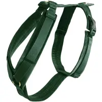 Kentucky Dogwear Hundegeschirr Aktiv Velvet Samt Dark Green XXS (14-22cm)