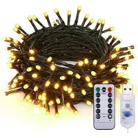 Lapamax Lichterkette mit Fernbedienung USB, 10m 100 LEDs Warmweiß Weihnachtsbeleuchtung 8 Modi Dimmbar Weihnachtsdeko