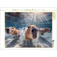 CALVENDO Puzzle Heute üben wir Synchronschwimmen | 1000 Teile Lege-Größe 64 × 48 cm Foto-Puzzle für glückliche Stunden