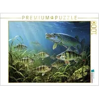 CALVENDO Puzzle Barsche im See – wo jeder Wurf zum Abenteuer wird. | 1000 Teile Lege-Größe 64 × 48 cm Foto-Puzzle für glückliche Stunden