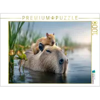 CALVENDO Puzzle Mama und Baby gönnen sich ein Schläfchen | 1000 Teile Lege-Größe 64 × 48 cm Foto-Puzzle für glückliche Stunden