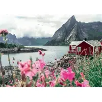 Ravensburger Puzzle 1000 Teile, Reine Lofoten Norwegen Highlights, , Erwachsene & Kinder, Ab 14 Jahren