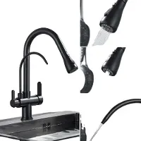 OEM Antiker Küchenwasserhahn, Ausziehbares Design, Doppelgriff, matte schwarz
