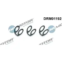 Dr.Motor Automotive Dichtung Wasseranschluss (Lader) DRM01192 für FORD FOCUS III Turnier
