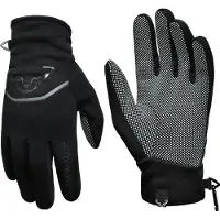 Dynafit Thermal Polarlite Handschuhe