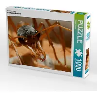 CALVENDO Ein Motiv aus dem Kalender Exotische Ameisen 1000 Teile Puzzle quer 640x480mm, Störmer Roland; 7272428