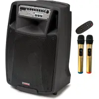 Audio Design Aktive Lautsprecherbox M2 15W/L mit 15 Zoll Lautsprecher, USB/SD-Player, Akku und drahtlosen Mikrofonen