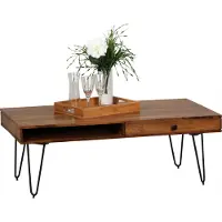 Wohnling Massivholz Sheesham Couchtisch 120 x 60 x 40 CM mit 2 Schubläden; WL1.513