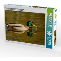 CALVENDO Stockente (Anas platyrhynchos) männlich 1000 Teile Puzzle quer 640x480mm, ; 7326528