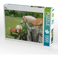 CALVENDO Pony 1000 Teile Puzzle quer 640x480mm, Lantzsch Katrin; 7429506