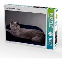 CALVENDO Ein Motiv aus dem Kalender Britisch Kurzhaar Katzen - Planer 1000 Teile Puzzle quer 640x480mm, Wejat-Zaretzke Gabriela; 7280218