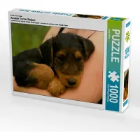 CALVENDO Ein Motiv aus dem Kalender Airedale Terrier Welpen 1000 Teile Puzzle quer 640x480mm, Milau Susan; 7337374