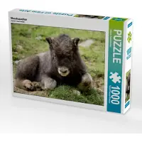 CALVENDO Moschusochse 1000 Teile Puzzle quer 640x480mm, Schörkhuber Johann; 7315855