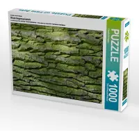 CALVENDO Ein Motiv aus dem Kalender Wald Impressionen 1000 Teile Puzzle quer 640x480mm, Burlager Claudia; 7273274