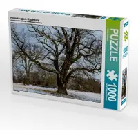 CALVENDO Herrenkrugpark Magdeburg 1000 Teile Puzzle quer 640x480mm, Schrader Ulrich; 7456827
