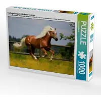 CALVENDO Haflingerhengst - Weltreservesieger 1000 Teile Puzzle quer 640x480mm, ; 7362813