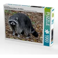 CALVENDO Ein Motiv aus dem Kalender Der kleine Räuber mit Maske - Waschbären 1000 Teile Puzzle quer 640x480mm, Klatt Arno; 7292825
