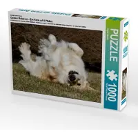 CALVENDO Ein Motiv aus dem Kalender Golden Retriever - Ein Herz auf 4 Pfoten 1000 Teile Puzzle quer 640x480mm, Starick Sigrid; 7355051