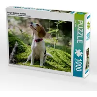 CALVENDO Beagle-Mädchen im Wald 1000 Teile Puzzle quer 640x480mm, Teßen Sonja; 7455147