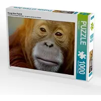 CALVENDO Orang Utan Porträt 1000 Teile Puzzle quer 640x480mm, Hultsch Heike; 7279659