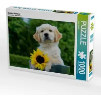 CALVENDO Golden Retriever 1000 Teile Puzzle quer 640x480mm, Starick Sigrid; 7355682
