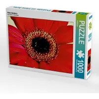 CALVENDO Rote Gerbera 1000 Teile Puzzle quer 640x480mm, ; 7364745