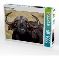CALVENDO Kaffernbüffel in Afrika 1000 Teile Puzzle quer 640x480mm, Woyke Wibke; 7289869