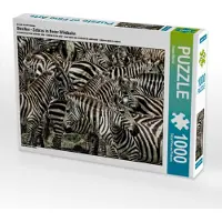 CALVENDO Ein Motiv aus dem Kalender Streifen - Zebras in freier Wildbahn 1000 Teile Puzzle quer 640x480mm, Michel Susan; 7288933
