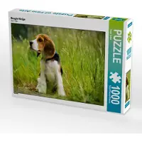 CALVENDO Beagle-Welpe 1000 Teile Puzzle quer 640x480mm, Teßen Sonja; 7455137