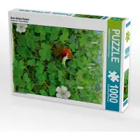 CALVENDO Sein Glück finden 1000 Teile Puzzle hoch 480x640mm, Busse dieKleinert.de/Ann-Kathr; 7400294