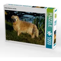 CALVENDO Golden Retriever am Ufer 1000 Teile Puzzle quer 640x480mm, ; 7303084