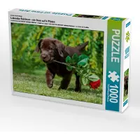 CALVENDO Ein Motiv aus dem Kalender Labrador Retriever - ein Herz auf 4 Pfoten 1000 Teile Puzzle quer 640x480mm, N N; 7355506