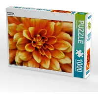CALVENDO Flalming 1000 Teile Puzzle quer 640x480mm, Photon Vronja; 7450565