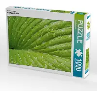 CALVENDO Ein Motiv aus dem Kalender Kraftquelle Grün 1000 Teile Puzzle quer 640x480mm, Andersen Ilona; 7281988
