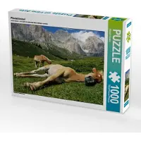 CALVENDO Pferdehimmel 1000 Teile Puzzle quer 640x480mm, Rucker Michael; 7354290